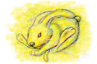 ウサギの絵